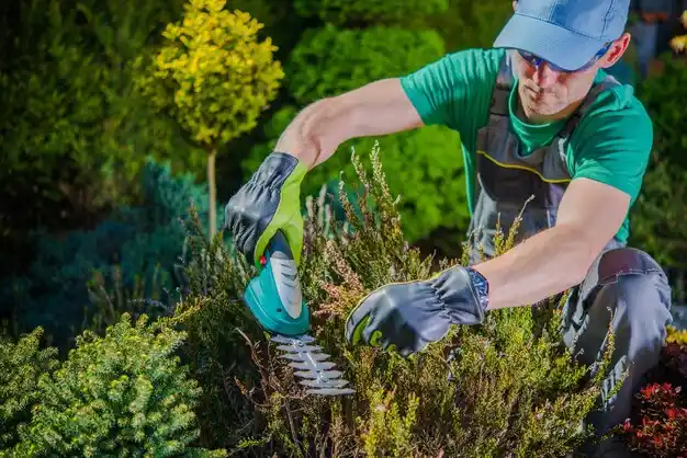 landscaping services Lemannville